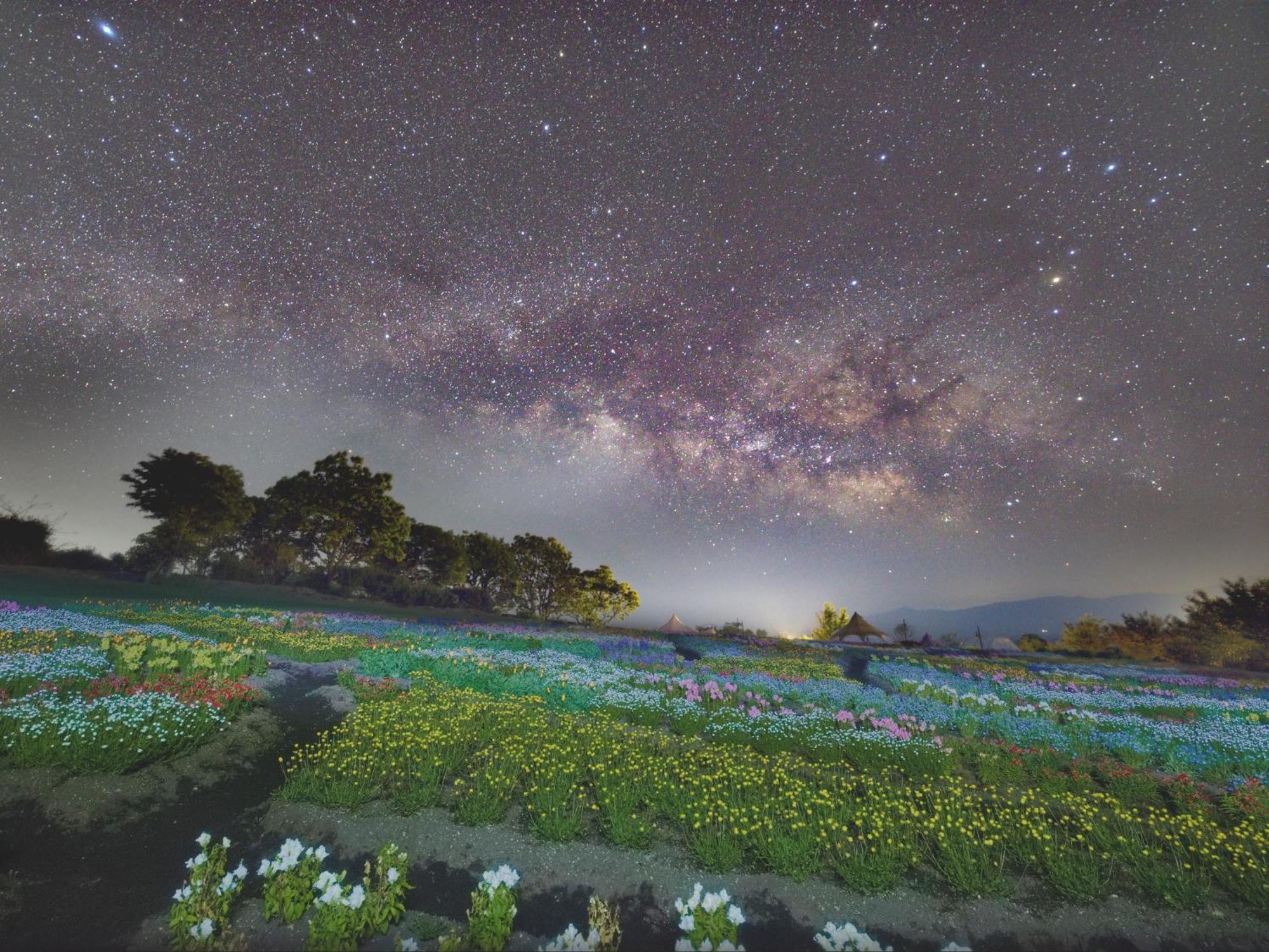 くじゅう花公園　キャンピングリゾート花と星 Kuju Eksteriør billede