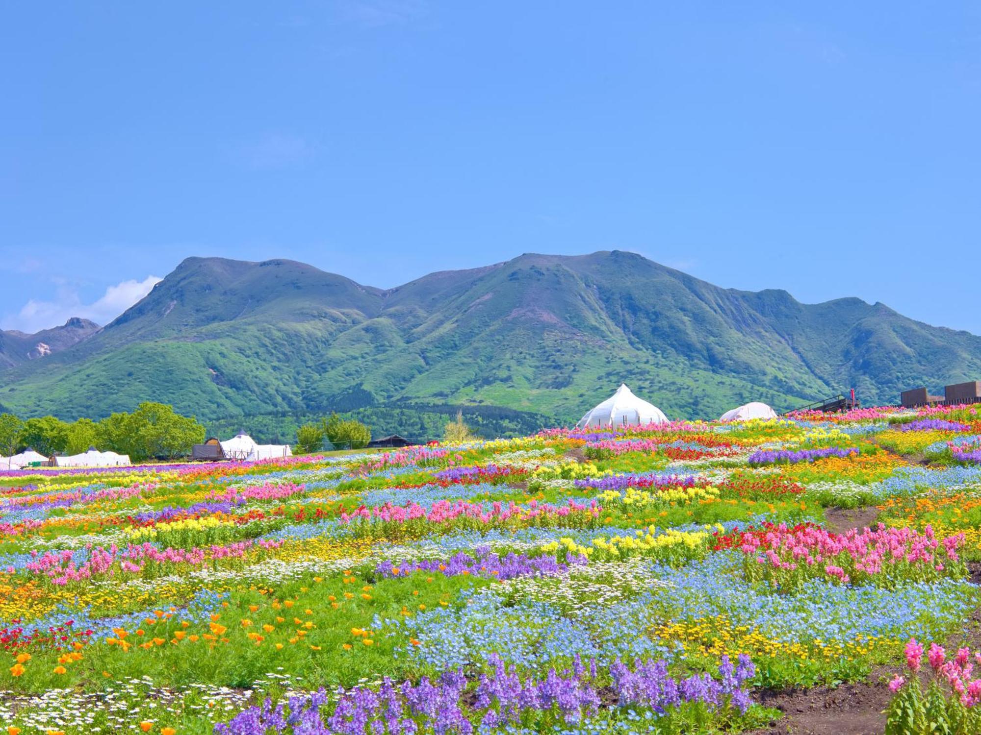 くじゅう花公園　キャンピングリゾート花と星 Kuju Eksteriør billede