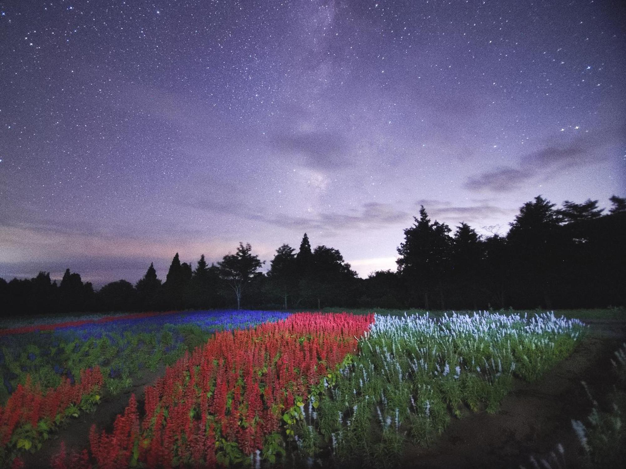 くじゅう花公園　キャンピングリゾート花と星 Kuju Eksteriør billede