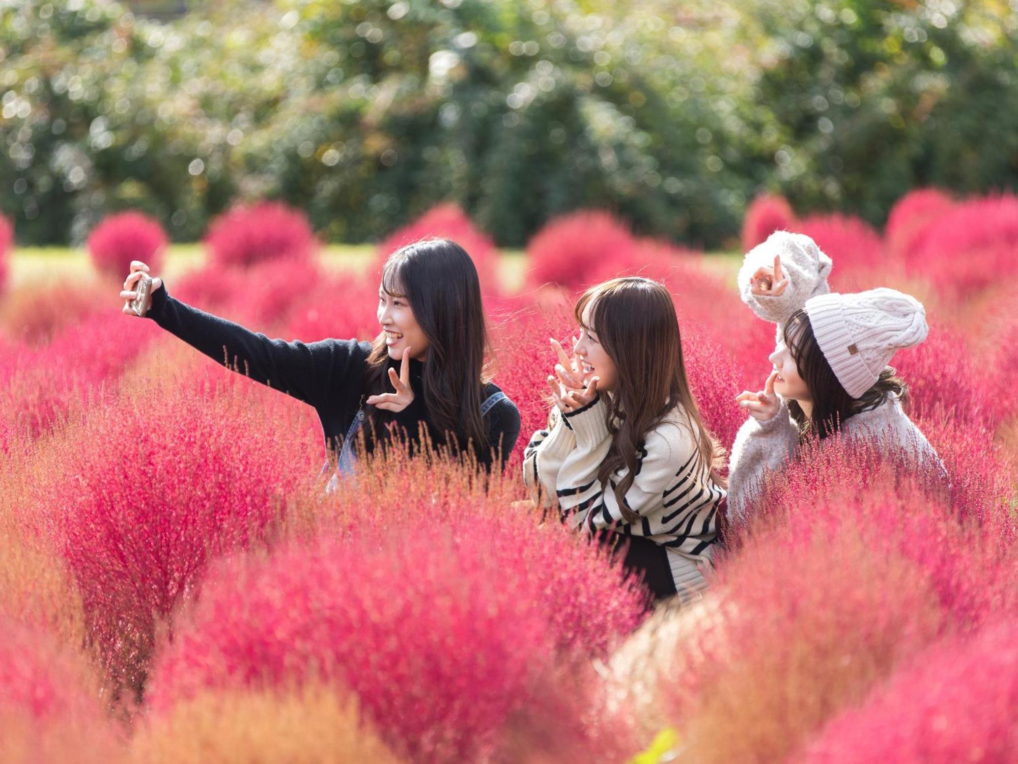 くじゅう花公園　キャンピングリゾート花と星 Kuju Eksteriør billede