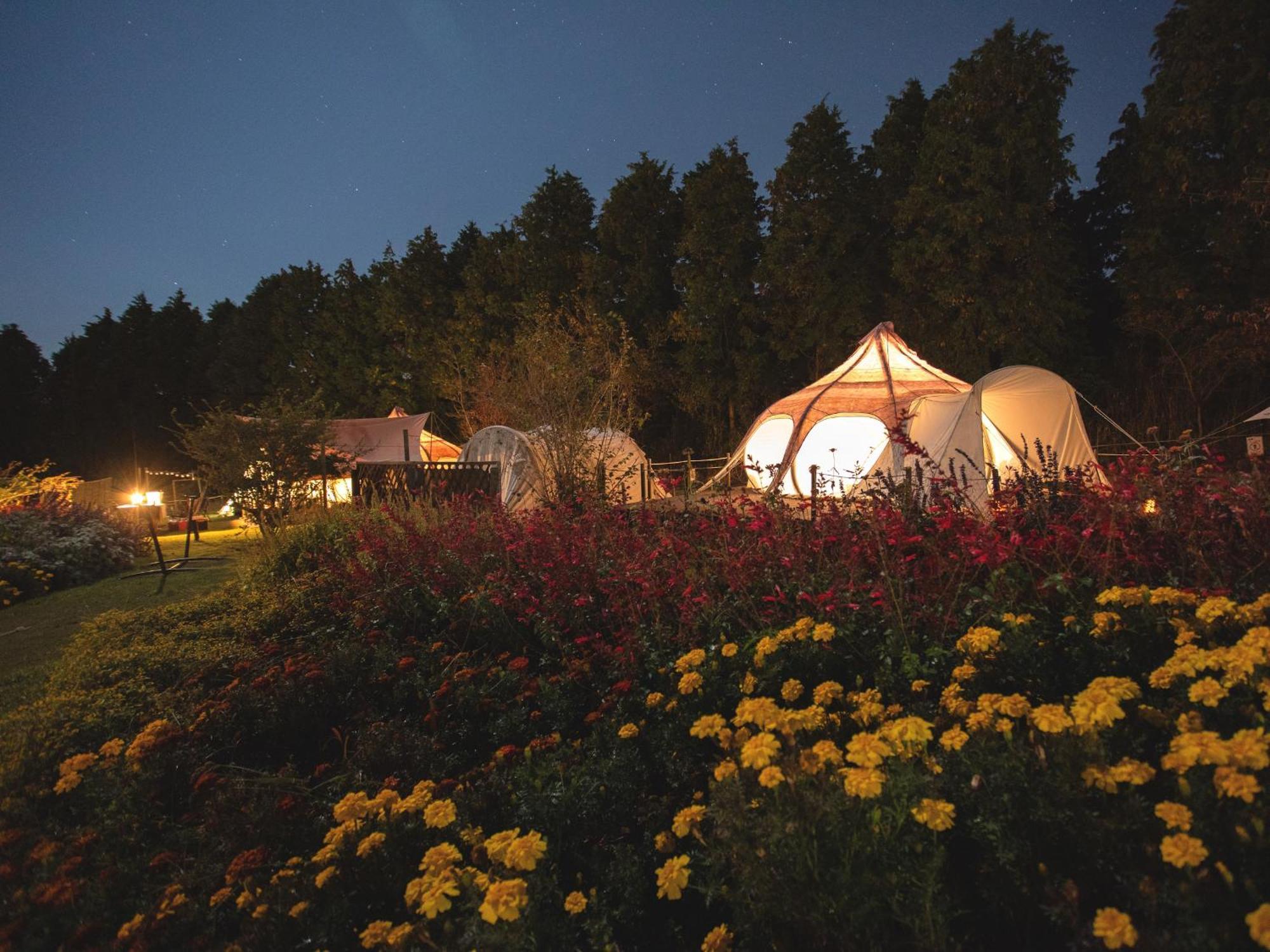 くじゅう花公園　キャンピングリゾート花と星 Kuju Eksteriør billede