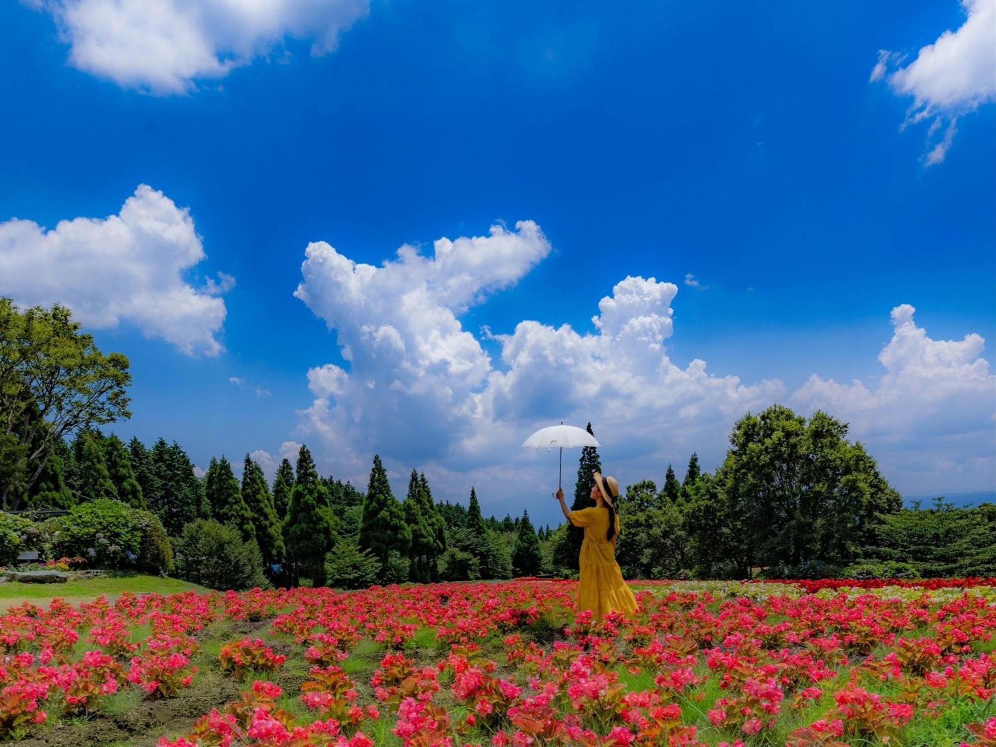 くじゅう花公園　キャンピングリゾート花と星 Kuju Eksteriør billede