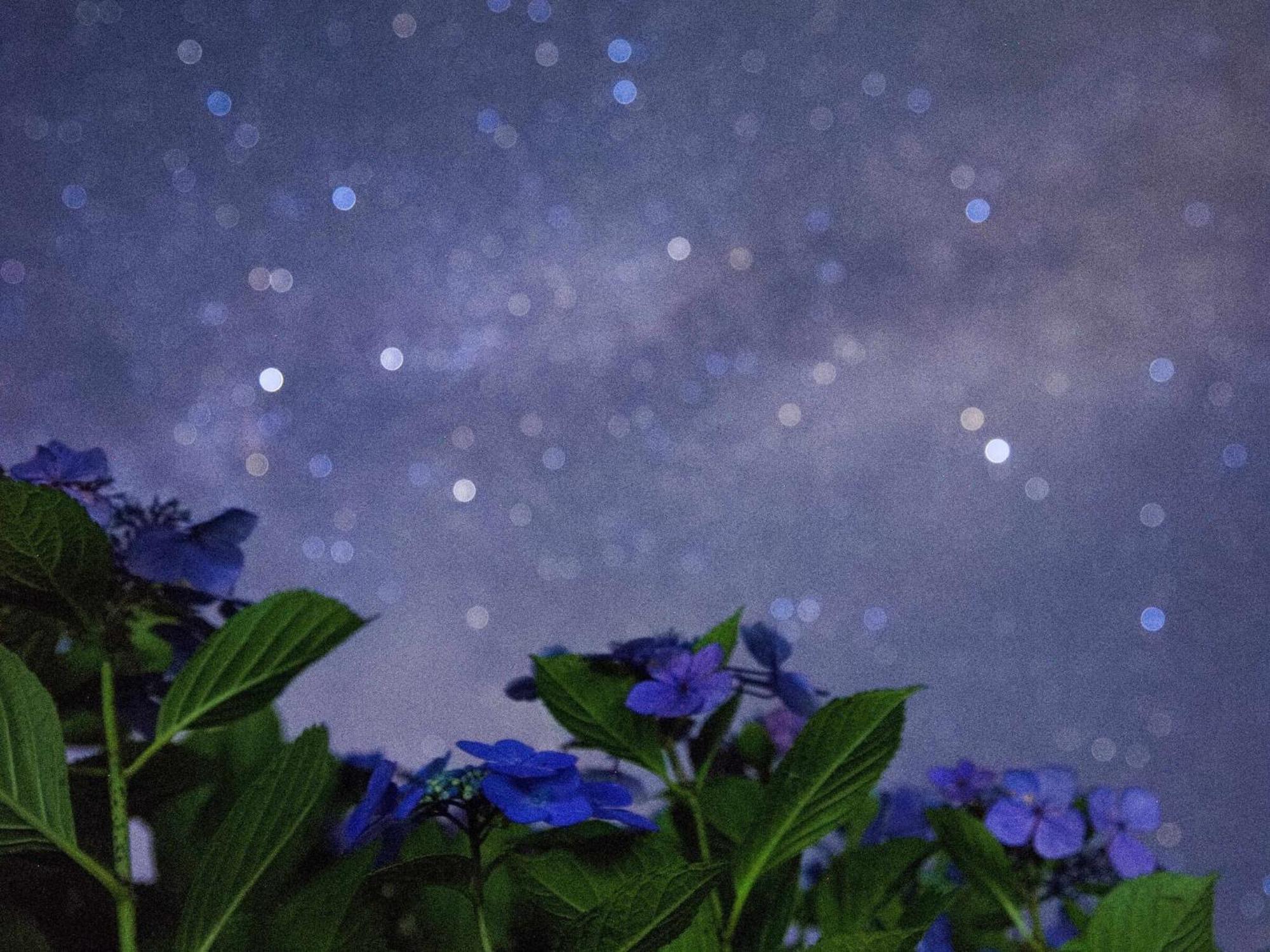 くじゅう花公園　キャンピングリゾート花と星 Kuju Eksteriør billede
